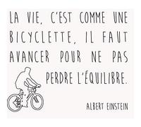 Fabulous Poster Affiche Citations Célèbres Albert Einstein la Vie c'Est Comme une Bicyclette il Faut Avancer Pour ne Pas Perdre l'Équilibre 42x80cm
