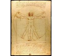 Fabulous Poster Affiche L'homme Leonard de Vinci Art Celebre Science Dessin