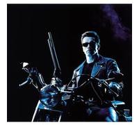 Fabulous Poster Arnold schwarzenegger terminator 2 (61cm x 65cm) G