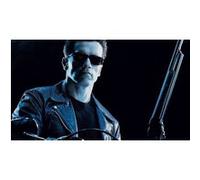 Fabulous Poster Arnold schwarzenegger terminator (31cm x 55cm) G