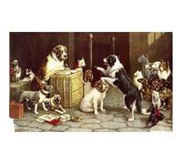 Fabulous Poster Breach of the promise cassius marcellus (61cm x 100cm) G