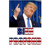 Fabulous Poster Affiche Donald Trump President Usa Amerique Profonde(42x60cmB)
