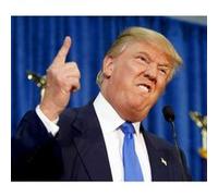 Fabulous Poster Donald trump president usa doigt levé (77 cm x 91 cm)