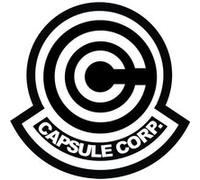Fabulous Poster Dragon ball capsule corp logo (30 cm x 30 cm) G