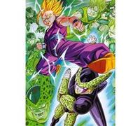 Fabulous Poster Dragon ball z gohan contre cell (61 cm x 86 cm) G