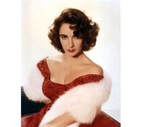 Fabulous Poster Elizabeth taylor actrice hollywood (31cm x 39cm) G