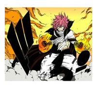 Fabulous Poster Fairy tail natsu mage de feu (36 cm x 42 cm) G