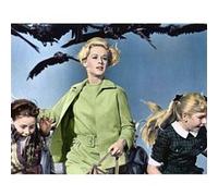 Fabulous Poster Film les oiseaux cinéma vintage menace (91x167cm) G