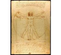 Fabulous Poster L'homme leonard de vinci (31cm x 42cm) G