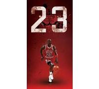 Fabulous Poster Michael jordan 23 chicago bulls (31cm x 60cm) G