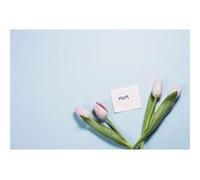 Fabulous Poster Tulipes et petit mot maman (42x64cm) G