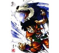 Fabulous Poster Yamcha dragon ball (42 cm x 60 cm) G