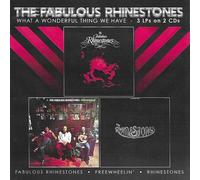 Fabulous Rhinestones - What A Wonderful Thing We Have