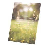 Fabulous Tableau Décoratif Toile Imprimée Affiche Poster Vie Eternelle Saint Jean 3:16 Bible Verset Spiritualité Citation Religion (60 cm x 85 cm)