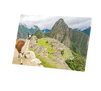 Fabulous Tableau Décoratif Toile Imprimée Machu Picchu Lama Selfie Peru Incas (45 cm x 30 cm)