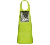 Fabulous Tablier Cuisine Enfant 2 Poches Vert Le Petit Poucet Perrault Illustration Gustave Dore - Haut de gamme Vert G