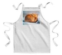 Fabulous Tablier Enfant Cuisine Renard Roux Dans La Neige - Qualité Premium 100% Coton Blanc G