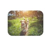 Fabulous Tapis de Salle de Bain Beagle en Ballade Chien Animal de Compagnie - Dimensions: 60 x 40 cm