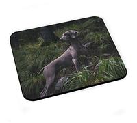 Fabulous Tapis de Souris Braque De Weimar Gros Chien Gris Magnifique Photo Exterieur