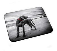 Fabulous Tapis de Souris Braque De Weimar Gros Chien Gris Plage Photo Mignon