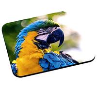 Fabulous Tapis de Souris Perroquet Ara Bleu Coco
