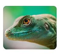 Fabulous Tapis de souris Simili Cuir Basilic à Plume Lézard Vert (22 x 18 cm) Multicolore G