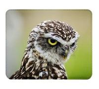 Fabulous Tapis de souris Simili Cuir Bebe Chouette (22 x 18 cm) Multicolore G