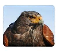 Fabulous Tapis de souris Simili Cuir Buse de Harris Rapace (22 x 18 cm) Multicolore G