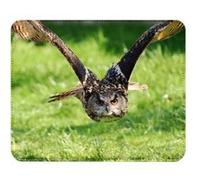 Fabulous Tapis de souris Simili Cuir Chouette en Vol Superbe (22 x 18 cm) Multicolore G