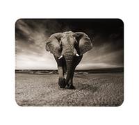 Fabulous Tapis de Souris Simili Cuir Enorme Elephant D'Afrique Charge Photo Nature Vie Sauvage (22 x 18 cm)