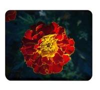 Fabulous Tapis de souris Simili Cuir Fleur Rouge et Or Tagete Patula Orion (22 x 18 cm) Multicolore G