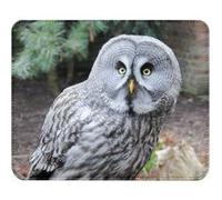 Fabulous Tapis de souris Simili Cuir Grande Chouette Lapone Chouette Cendre (22 x 18 cm) Multicolore G
