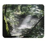 Fabulous Tapis de souris Simili Cuir Riviere de Sous Bois Rayon de Soleil (22 x 18 cm) Multicolore G