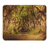 Fabulous Tapis de souris Simili Cuir Route traverse une Foret Tortueuse (22 x 18 cm) Multicolore G