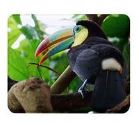 Fabulous Tapis de souris Simili Cuir Toucan Dans la Jungle (22 x 18 cm) Multicolore G