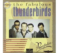 Fabulous Thunderbirds - Portfolio