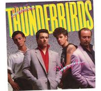FABULOUS THUNDERBIRDS, THE / Wrap It Up / 45rpm record + picture sleeve