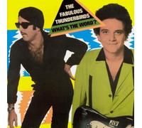 Fabulous Thunderbirds - What's the Word? -16tr-