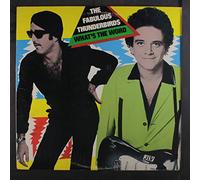 FABULOUS THUNDERBIRDS - what's the word LP