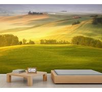 FACADUP Papier peint moderne 3D avec vue de campagne d'Irlande du Nord pour salon, chambre à coucher, 100 x 70 cm, autocollants muraux de fond (non autocollants)