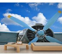 FACADUP Papier peint vintage contre les peintures murales vieux biplan contre le ciel bleu pour salon, chambre à coucher, 390 x 260 cm, autocollants muraux de fond d'œuvre d'art (non autocollants)
