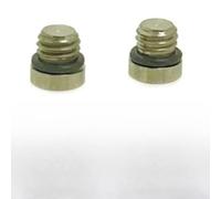 FACAIIO Lot de 2 vis de purge en acier inoxydable pour systèmes de frein à code guide SRAM, bouchons de remplissage Torx T10 pour étrier de réservoir, résistant à la rouille, argenté