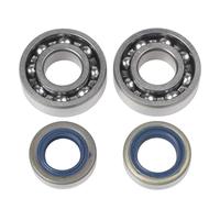 FACAIIO Lot de roulements de vilebrequin et joints d'huile pour scie à tronçonner TS410 TS420, remplace 9503 003 0351 9630 951 1696 9640 003 1570