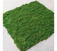 FACAIIO Tapis de mousse artificielle pour terrarium et bonsaï - 1 x 1 m - En polyester - Vert - Doux et anti-poussière - Pour décoration d'intérieur, projets de bricolage