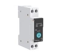 FACAIIO Zigbee Disjoncteur intelligent 1P 63 A avec compteur de puissance, modes minuteur et télécommande, pour surveillance de l'énergie domestique, montage sur rail DIN