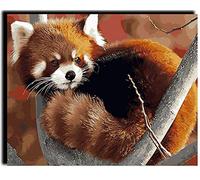 FACAILE Peinture par Numéro Adulte panda roux 40x50cm Bricolage Tableau Peindre par Nombre pour Enfants Jouets à peindre, cadeaux peints à la mainHome Decor, Taille unique