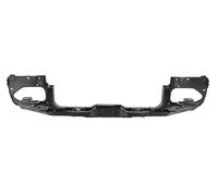 Face Avant Support de Grille Arrière BLIC pour FORD MUSTANG 09.04-02.09
