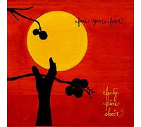 Face Your Fear [Import]