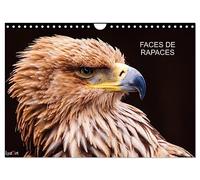 FACES DE RAPACES (Calendrier mural 2027 DIN A4 vertical), CALVENDO calendrier mensuel: 12 mois avec des rapaces