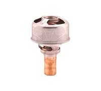 FACET 7.8246 Thermostat d'eau